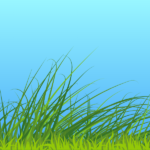 Gazon synthétique entretien