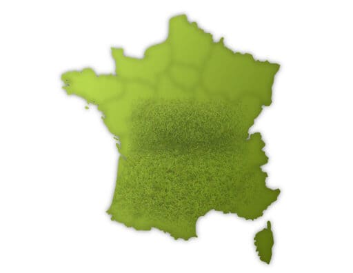 Carte de France en vert, comme fait de gazon synthétique
