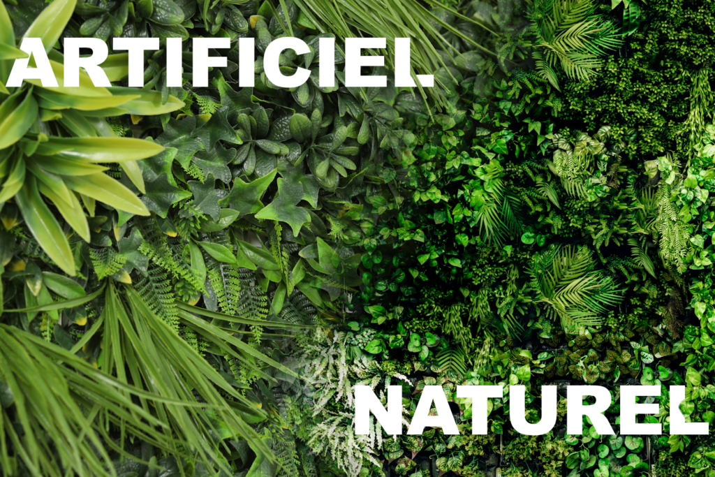 Natürliche vs. künstliche Pflanzenwand  