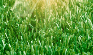 Miniature avec un zoom sur du gazon synthétique illuminé par la lumière du soleil