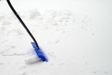 Utilisation d'une pelle en plastique pour déneiger son jardin en gazon synthétique